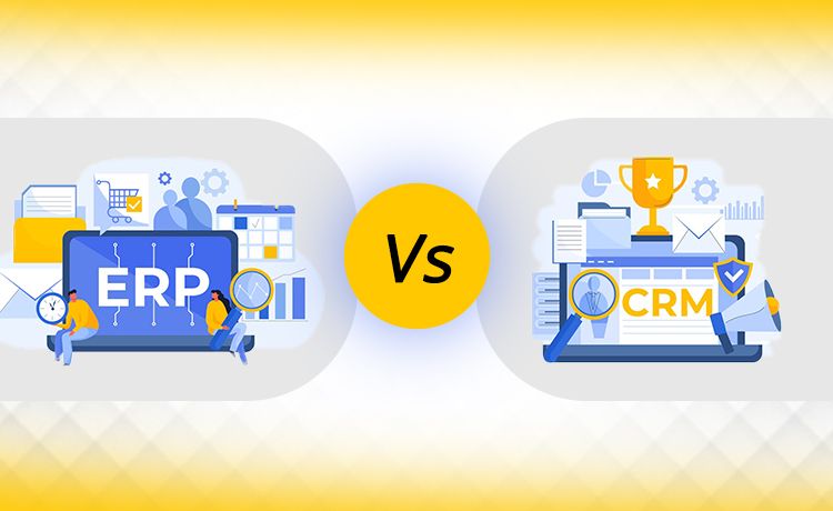 ERP & CRM Software Development Company in Noida